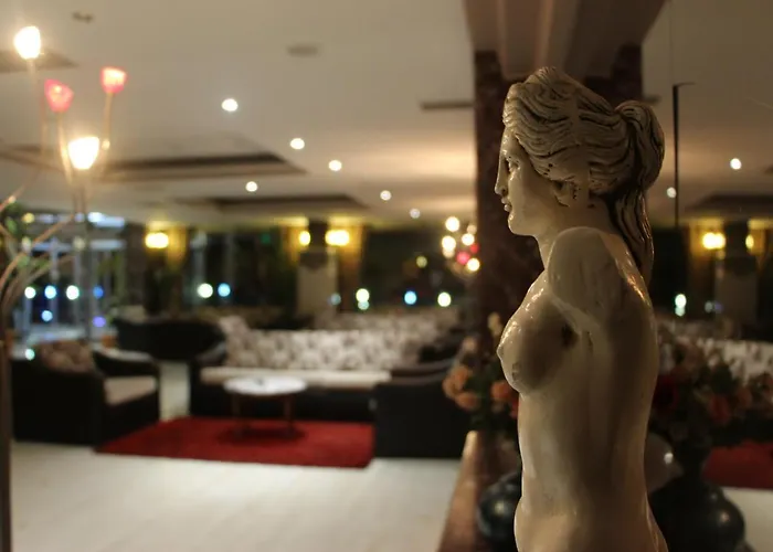 阿克亿兹酒店 安卡拉